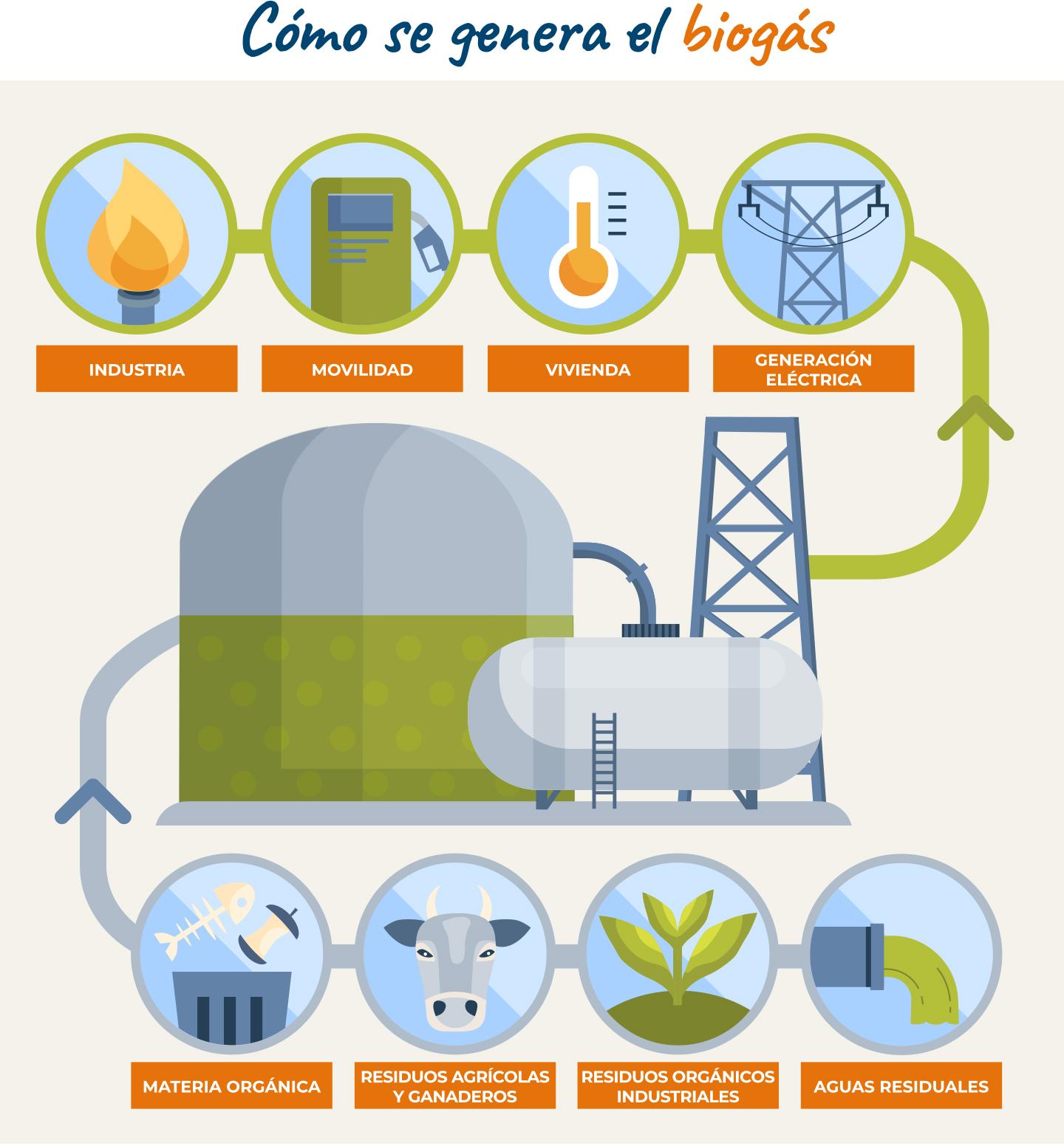 Como se genera el biogas.